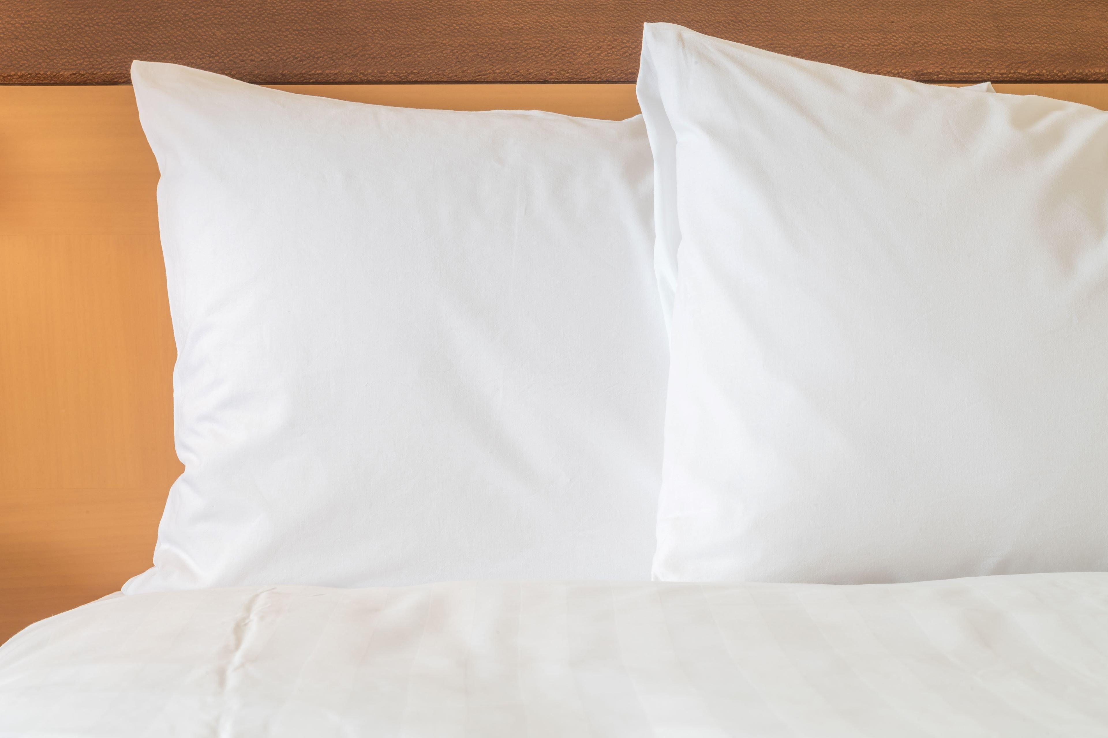 Holiday Inn Express And Suites Calgary By Ihg Luaran gambar